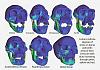 Click image for larger version. 

Name:	Jaw sets.jpg 
Views:	76 
Size:	43.3 KB 
ID:	5087