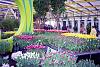 Click image for larger version. 

Name:	keukenhof.jpg 
Views:	247 
Size:	52.4 KB 
ID:	2873