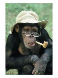 �cwellan's Avatar