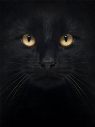 �ttar's Avatar