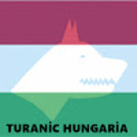 Turul Karom's Avatar