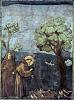 Click image for larger version. 

Name:	800px-Giotto_-_Legend_of_St_Francis_-_-15-_-_Sermon_to_the_Birds.jpg 
Views:	9 
Size:	315.8 KB 
ID:	119469