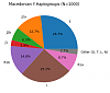 Click image for larger version.&nbsp;

Name:	Macedonian_Y-Haplogroups.png&nbsp;
Views:	1&nbsp;
Size:	31.2 KB&nbsp;
ID:	146397