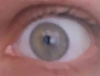 Click image for larger version.&nbsp;

Name:	eye.png&nbsp;
Views:	3&nbsp;
Size:	164.1 KB&nbsp;
ID:	148659