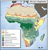 Click image for larger version. 

Name:	africavegetation.jpg 
Views:	225 
Size:	70.4 KB 
ID:	27476