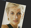 Click image for larger version. 

Name:	Princess Diana.png 
Views:	16 
Size:	179.8 KB 
ID:	119665