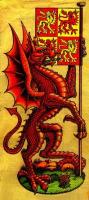 Cynan's Avatar