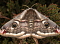 drb234's Avatar