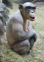 gixajo's Avatar