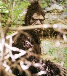 frankhammer's Avatar